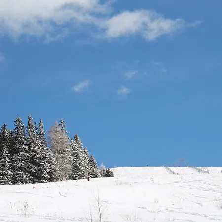 Koralpe Arnika Xl 28 * Frantschach-Sankt Gertraud