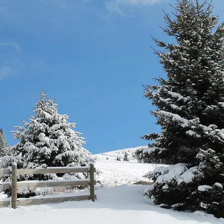 Koralpe Arnika Xl 28 Frantschach-Sankt Gertraud