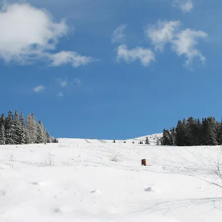 Domek alpejski Koralpe Arnika Xl 28 *