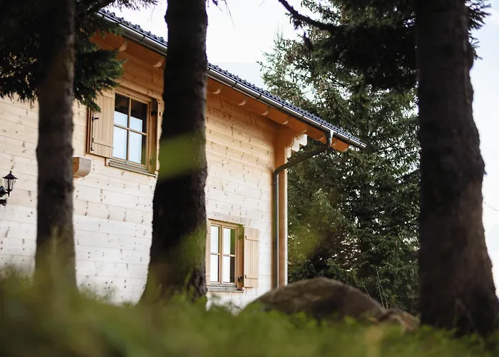 Koralpe Arnika Xl 28 Chalet