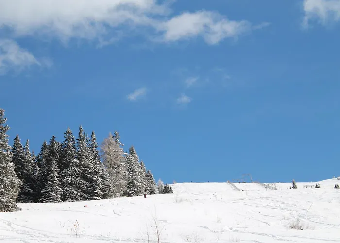 Koralpe Arnika Xl 28 * Frantschach-Sankt Gertraud