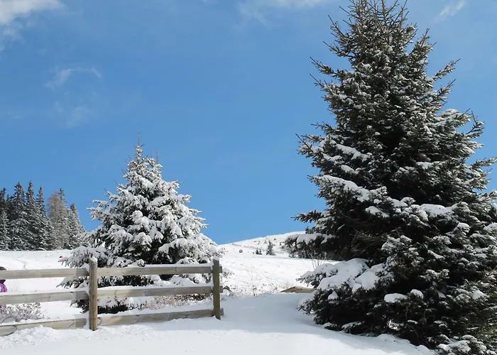 Koralpe Arnika Xl 28 Frantschach-Sankt Gertraud