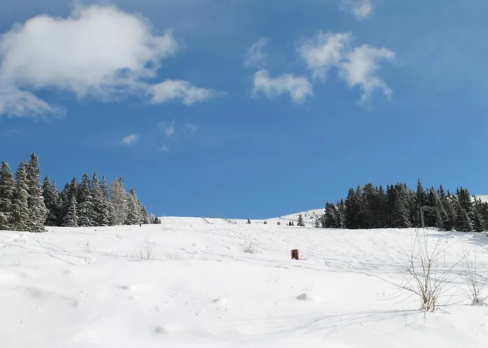 Chalet Koralpe Arnika Xl 28 *